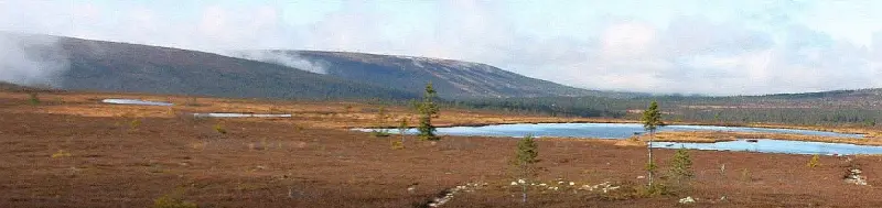 Ferienhaus in Sälen mieten Buchung, Verfügbarkeit und Preise für unsere Hüttenvermietung in Sälen, nahe Lindvallen, Högfjället, Hundfjället und Tandådalen