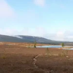 Nature autour des chalets de montagne à Sälen en Suède