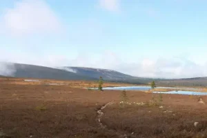 Naturen i Sälen. Gör utflykter i detta vackra landskap