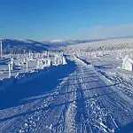 Le chemin à travers l’histoire de Sälen est un chemin dans les traces des pères vers les victoires de l’avenir